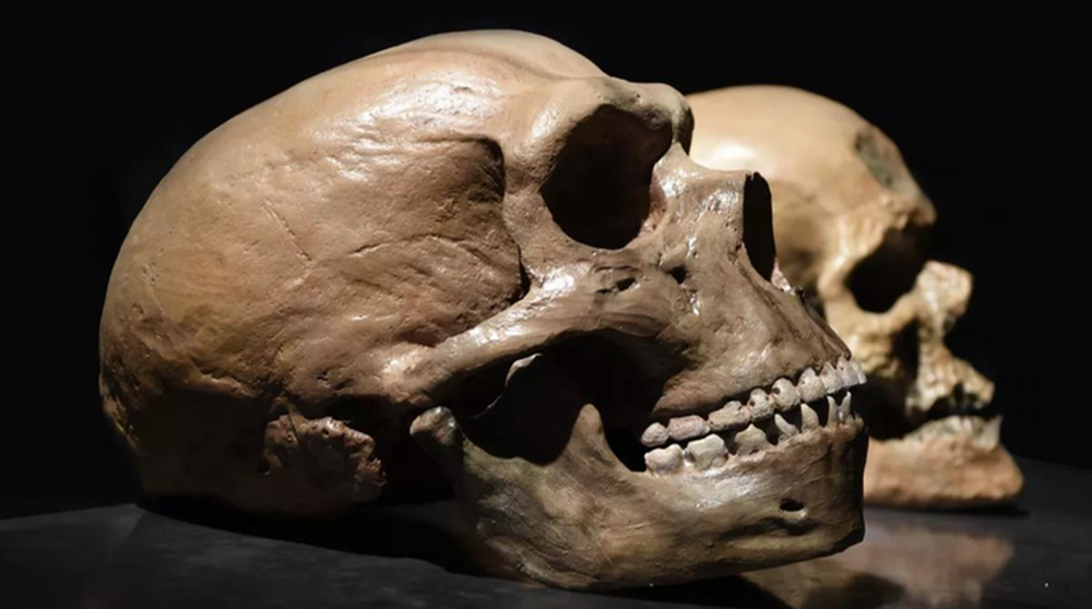 40.000 năm trước, một loài khác cũng tiến hóa cao như chúng ta - Ảnh 1.
