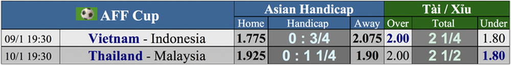 Dự đoán AFF Cup: Indonesia dự tính gì khi tái đấu Việt Nam? - Ảnh 5.