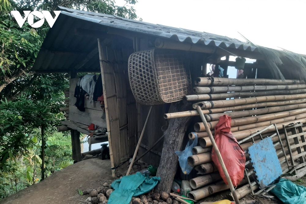 Hàng trăm người tham gia vây bắt đối tượng giết người trên đồi cao su tại Lai Châu - Ảnh 8.