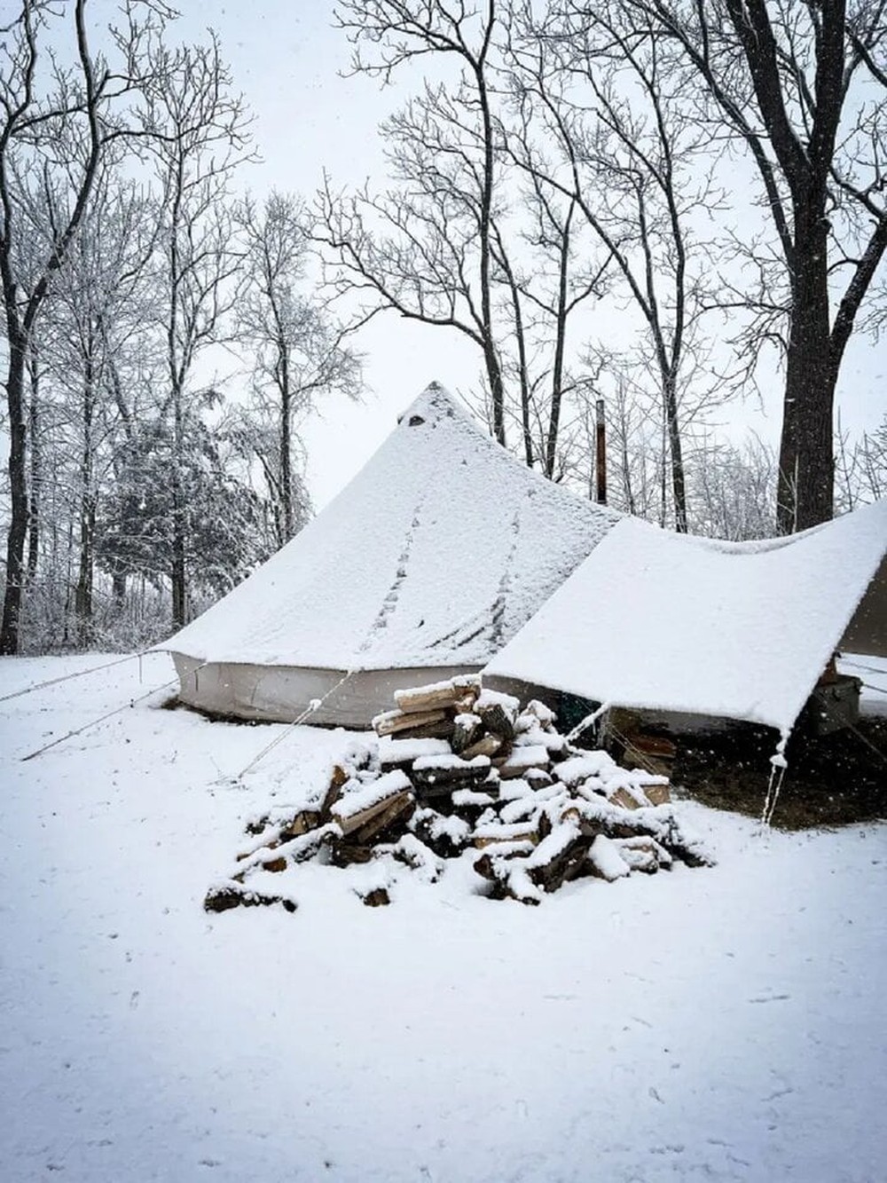 2 năm tiết kiệm 1,2 tỷ đồng nhờ ở lều, bà mẹ bỏ việc vì không cần tiền nữa - Ảnh 6.