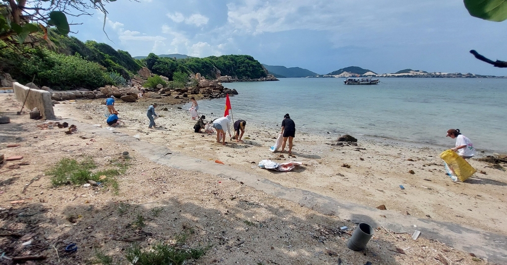 Cặp đôi Pháp - Việt biến đảo hoang thành ‘nơi nghiêm ngặt’: Xem cá voi gần bờ, Forbes và CNN đều ca ngợi - Ảnh 6.