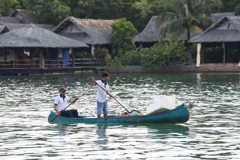 Cặp đôi Pháp - Việt biến đảo hoang thành ‘nơi nghiêm ngặt’: Xem cá voi gần bờ, Forbes và CNN đều ca ngợi - Ảnh 5.
