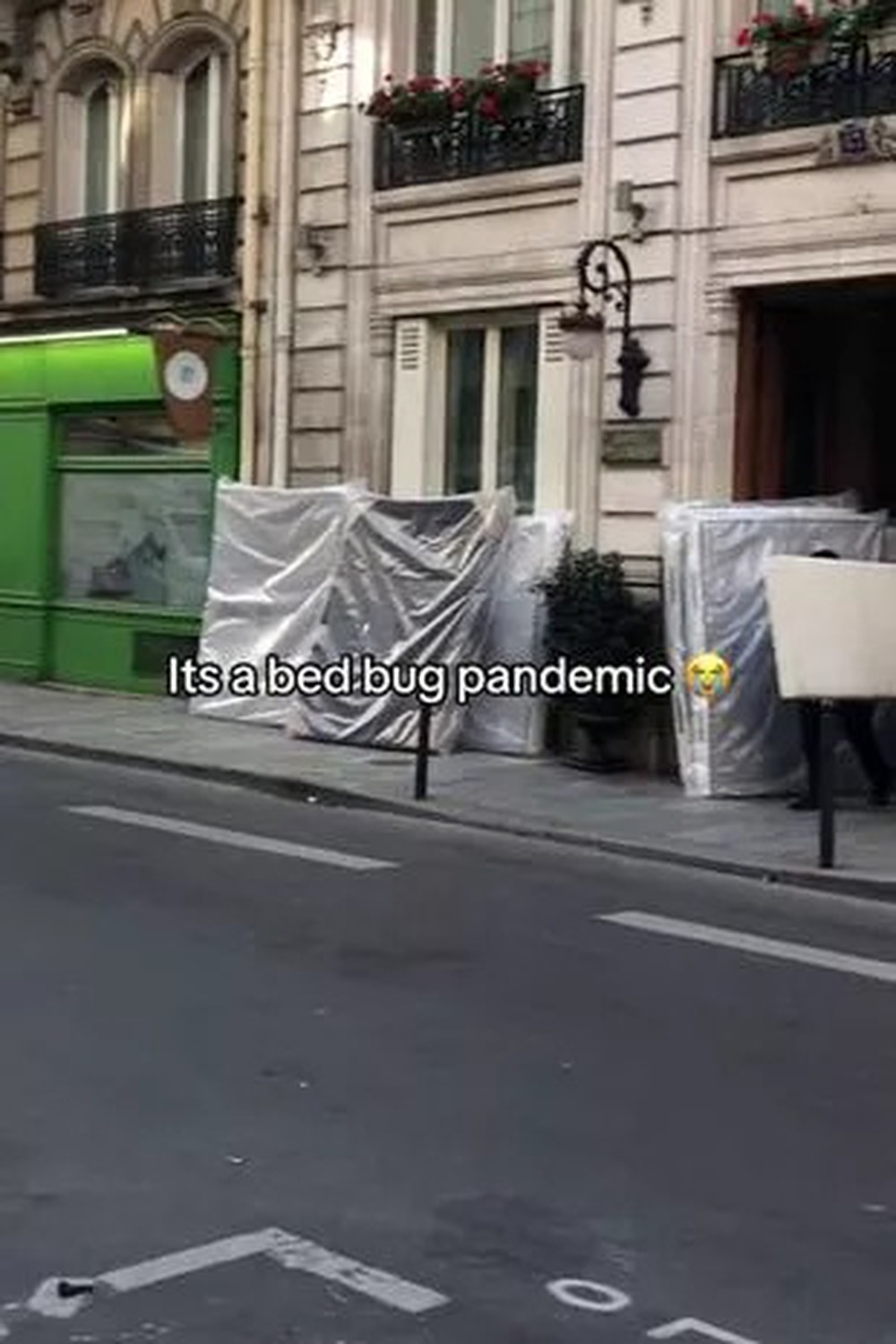 Đường phố Paris bỗng xuất hiện những ‘núi nệm’ ở vỉa hè, nguyên nhân từ loài côn trùng hút máu gây ám ảnh