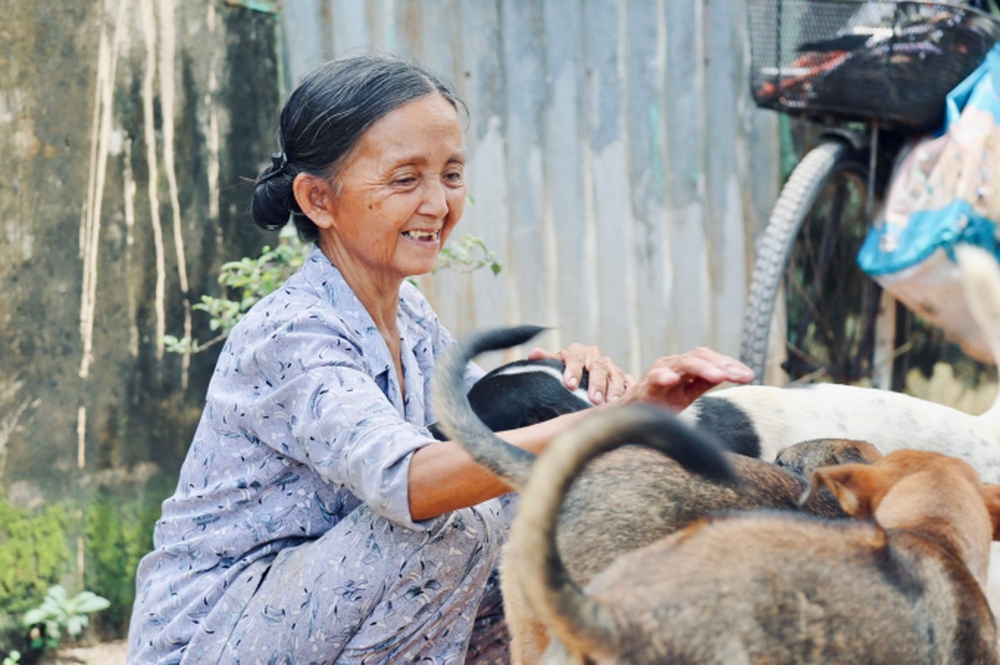 Chuyện bà Tuyết ve chai 26 năm nuôi đàn chó mèo bị bỏ rơi ở TP.HCM: Đau lòng khi bị trộm bắt đem bán… - Ảnh 1.