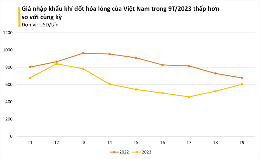 Giá cực rẻ, một mặt hàng từ Trung Đông đang ồ ạt tràn vào Việt Nam: nhập khẩu tăng gần 800%, Việt Nam được xem là át chủ bài trên thị trường - Ảnh 1.