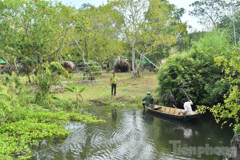Kiên Giang: Rút cạn nước khu nuôi cá sấu, phát hiện sổng 8 con ra công viên - Ảnh 1.