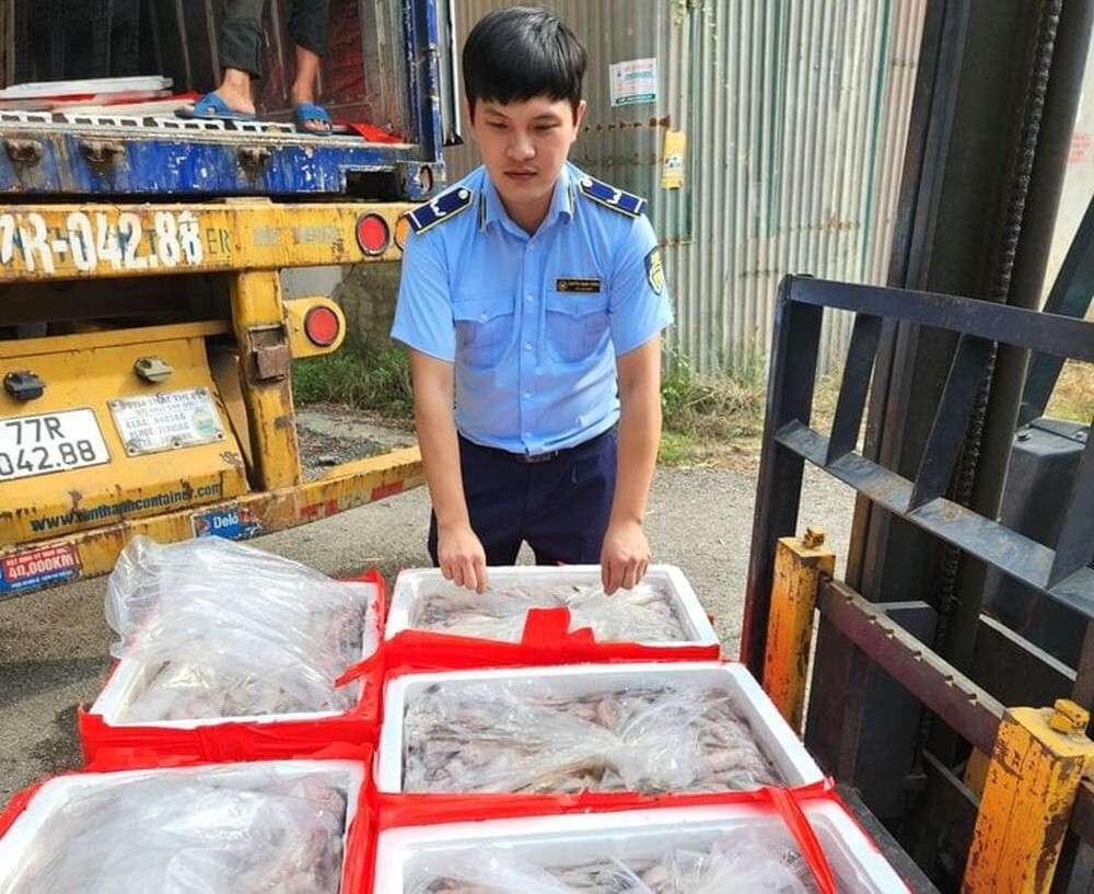 Bắt giữ xe đầu kéo Bình Định vận chuyển gần 5 tấn cá khoai có chứa formol - Ảnh 1.