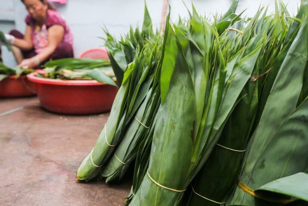 Loại lá tre đặc biệt của Việt Nam đang thành hàng hot ở nước ngoài: Xuất khẩu giá đắt đỏ, thu về hàng chục tỷ đồng - Ảnh 1.