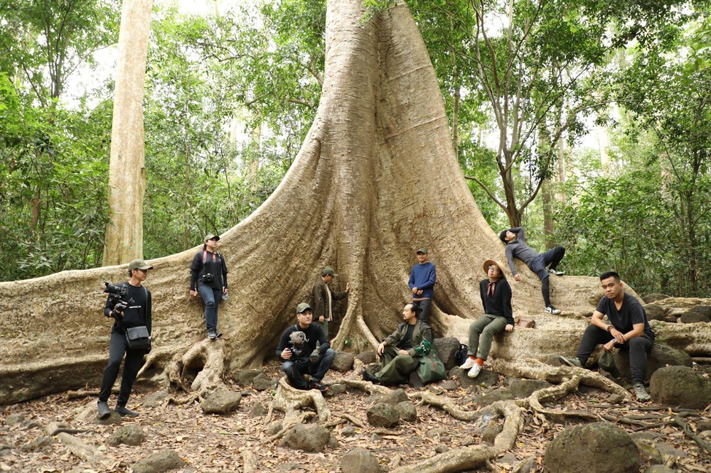 Storii- Khu rừng nuôi dưỡng sự sáng tạo cho thế hệ trẻ Việt Nam - Ảnh 2.