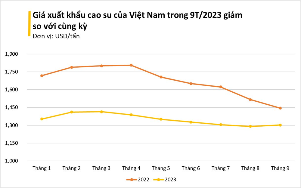 Giá giảm so với thế giới, một mặt hàng Việt được Pakistan gom mạnh: Tăng trưởng 3 chữ số trong tháng 9, Việt Nam xuất khẩu đứng thứ 3 thế giới - Ảnh 2.