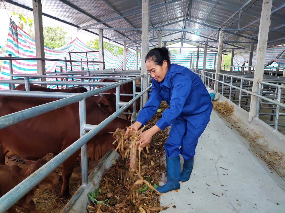 Nối dài hành trình tốt đời đẹp đạo: Vingroup trao học bổng, tặng điểm trường ước mơ, khánh thành những cây cầu yêu thương! - Ảnh 7.