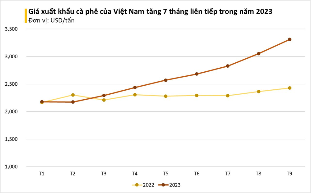 Một loại hạt từ Việt Nam đang ồ ạt tràn vào Mexico với giá đắt đỏ: Chi khủng gom hàng trong tháng 9, Việt Nam xuất khẩu đứng thứ 2 thế giới - Ảnh 2.