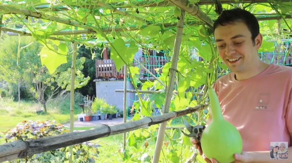 Cuộc sống của nàng dâu Việt ở vùng quê Pháp: Ngày ngày làm vườn, nấu “cỏ dại” cho bố mẹ chồng ăn - Ảnh 5.