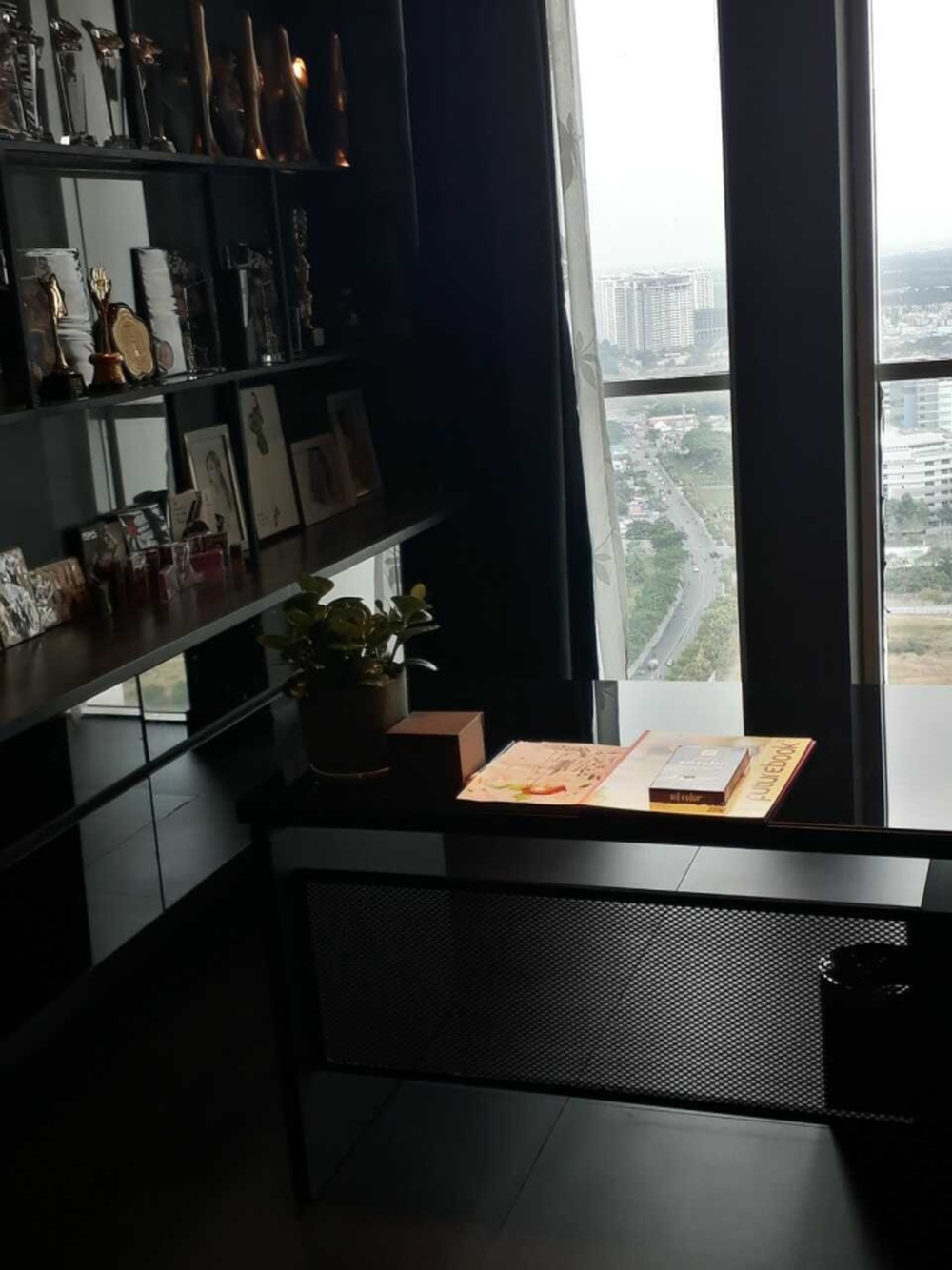 Bên trong căn penthouse cao cấp của Hoàng Thùy Linh: Gia chủ flex thú chơi hoa, cành quả siêu nghệ - Ảnh 8.