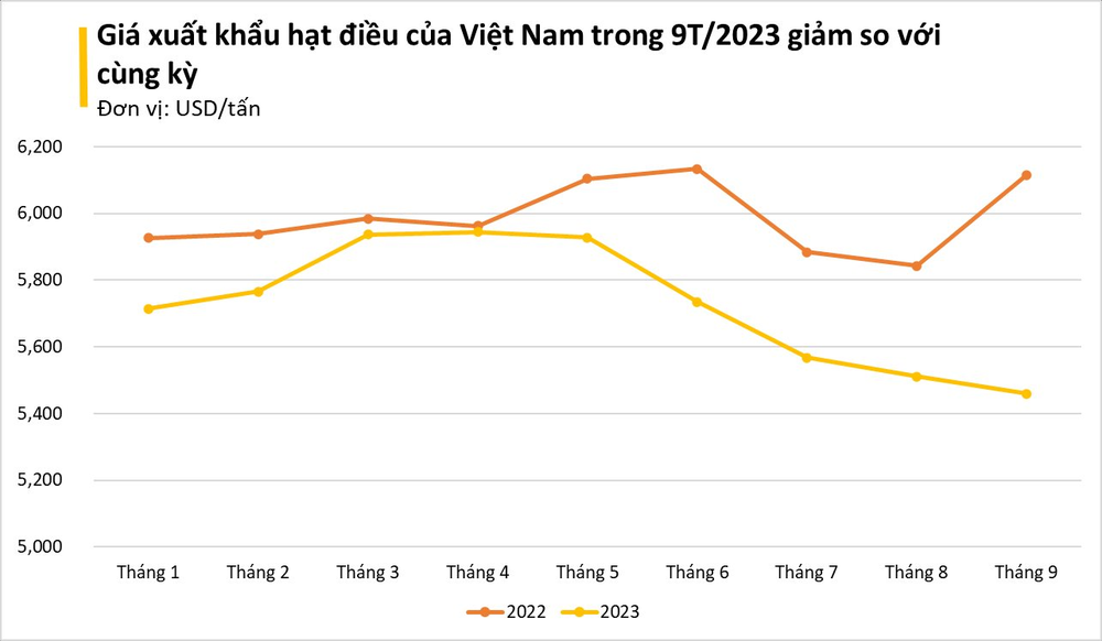 Tinh túy của nông sản Việt được các đại gia dầu mỏ cực kỳ ưa chuộng: Xuất khẩu tăng mạnh 3 chữ số, tổng thu về hơn 2 tỷ USD - Ảnh 2.