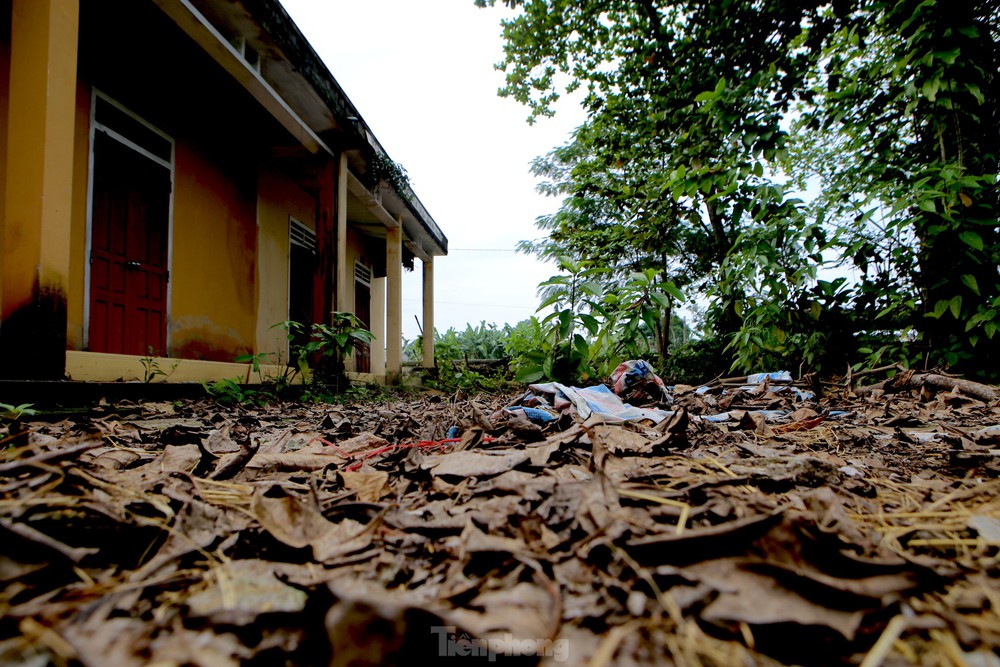  Xót xa nhìn những ngôi trường bỏ hoang ở Hà Tĩnh  - Ảnh 4.