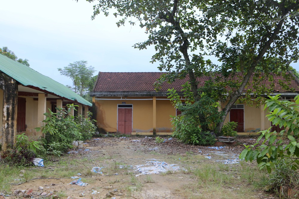  Xót xa nhìn những ngôi trường bỏ hoang ở Hà Tĩnh  - Ảnh 2.