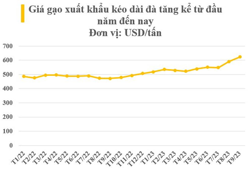 Nhiều cường quốc xếp hàng nhập khẩu, có thị trường tăng gần 12.000% - Giá  “hạt ngọc” của Việt Nam tăng ra sao kể từ đầu năm? - Ảnh 2.