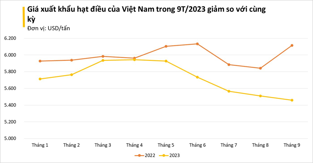 Thừa nhận hàng Made in Vietnam ngon hơn Made in China một bậc, Trung Quốc đang chi mạnh tay nhập khẩu một loại hạt Việt Nam với giá đắt đỏ - Ảnh 2.