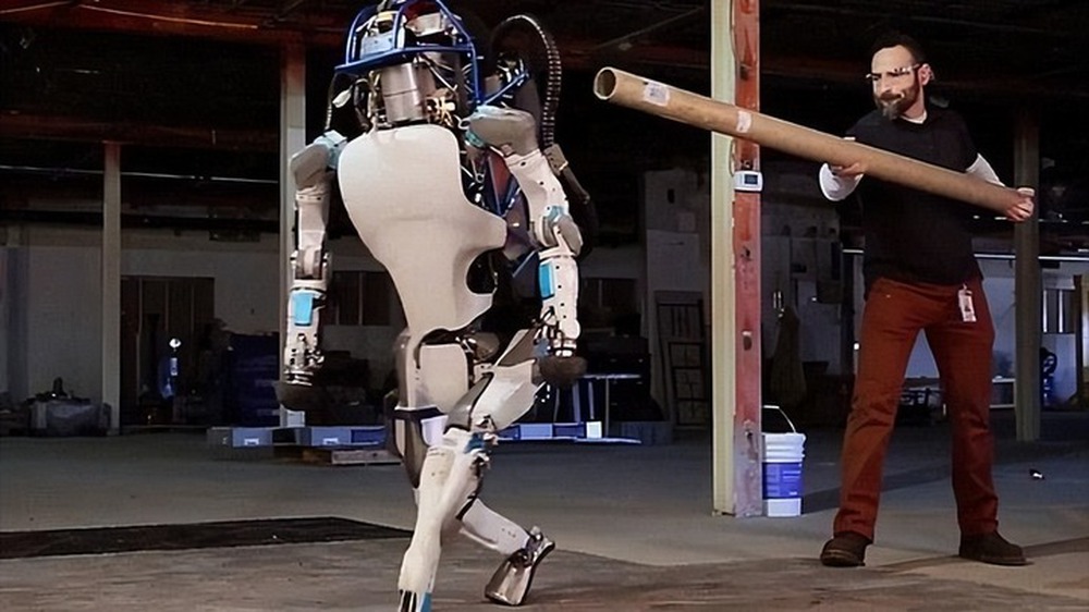 Khám phá mới tiết lộ khả năng đáng kinh ngạc của robot sống - Ảnh 2.