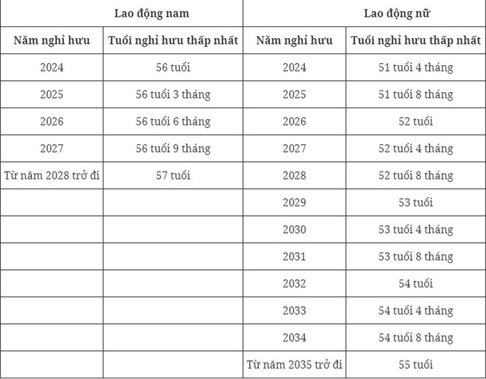 Tuổi nghỉ hưu của người lao động năm 2024 thay đổi như thế nào? - Ảnh 2.