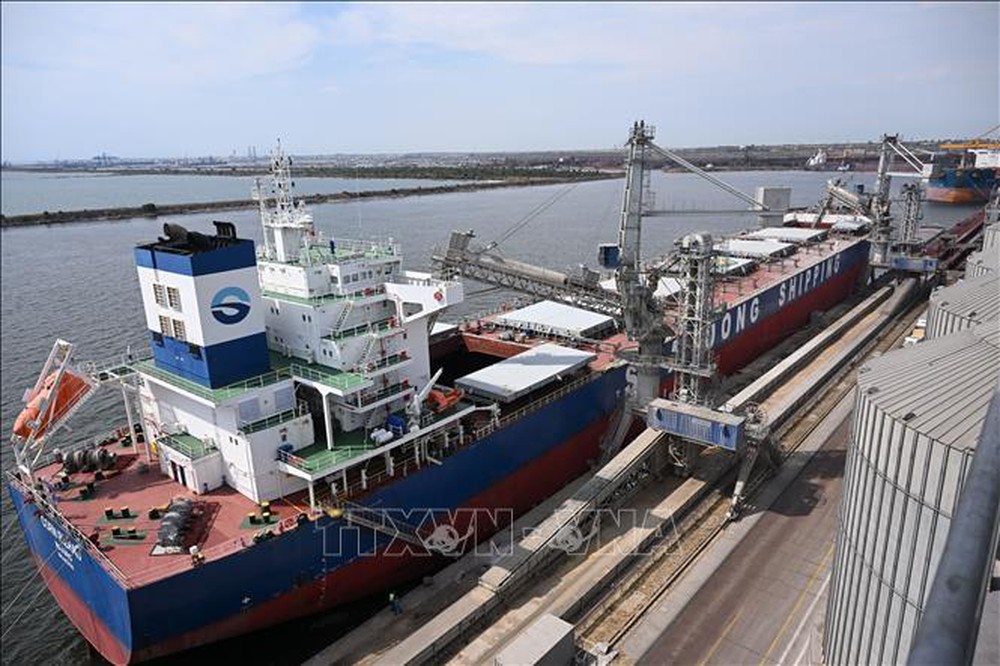 Ukraine: Thêm nhiều tàu sẵn sàng sử dụng hành lang an toàn mới trên Biển Đen - Ảnh 1.