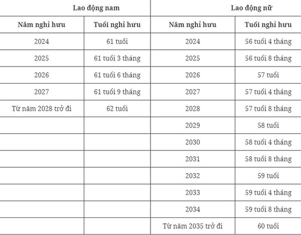 Tuổi nghỉ hưu của người lao động năm 2024 thay đổi như thế nào? - Ảnh 1.