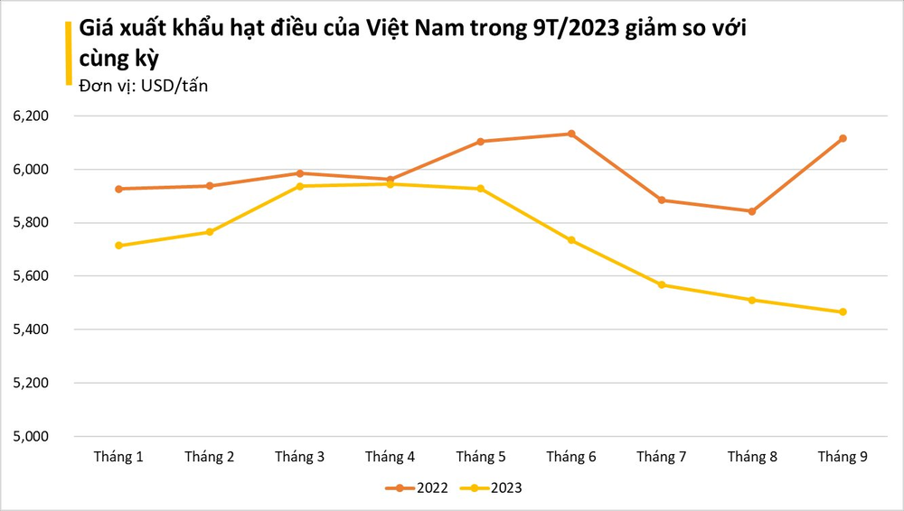 Hạt vàng hạt bạc giúp Việt Nam đứng đầu thế giới về xuất khẩu: Được Mỹ, Trung Quốc cực ưa chuộng, nằm trong CLB tỷ USD của ngành nông nghiệp - Ảnh 3.