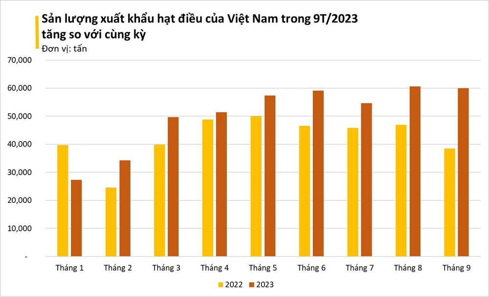 Hạt vàng hạt bạc giúp Việt Nam đứng đầu thế giới về xuất khẩu: Được Mỹ, Trung Quốc cực ưa chuộng, nằm trong CLB tỷ USD của ngành nông nghiệp - Ảnh 2.