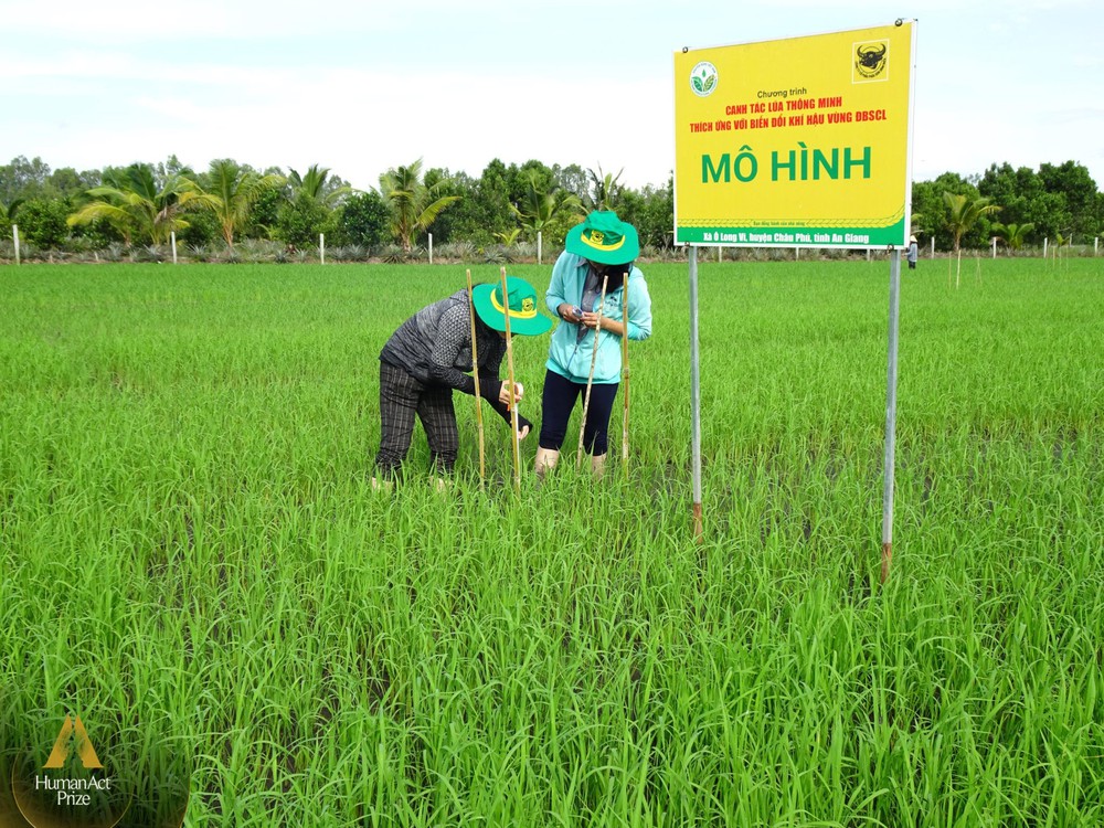 Doanh nghiệp phân bón khuyến cáo nông dân bón ít hơn và câu chuyện phát triển nông nghiệp bền vững vùng Đồng bằng Sông Cửu Long - Ảnh 1. Doanh nghiệp phân bón khuyến cáo nông dân bón ít hơn và câu chuyện phát triển nông nghiệp bền vững vùng Đồng bằng Sông Cửu Long - Ảnh 1.