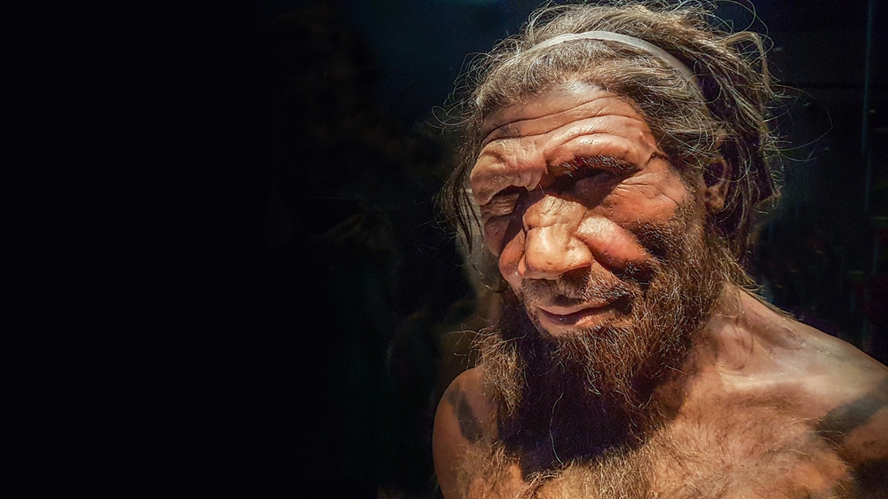 Người Neanderthal thông minh hơn đười ươi và khỉ, vậy tại sao họ lại tuyệt chủng cách đây 30.000 năm? - Ảnh 7.