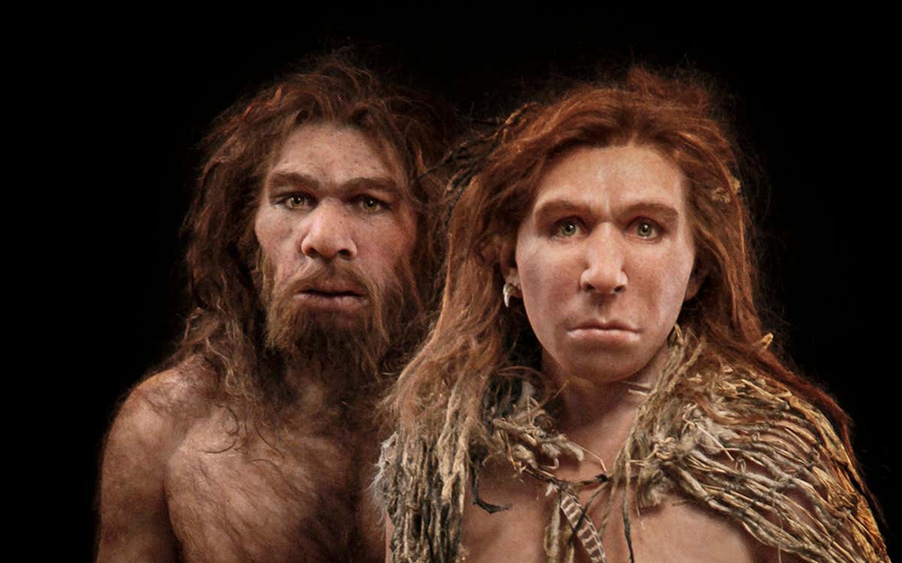 Người Neanderthal thông minh hơn đười ươi và khỉ, vậy tại sao họ lại tuyệt chủng cách đây 30.000 năm? - Ảnh 5.