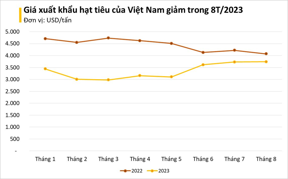 Mặt hàng Việt Nam có sản lượng lớn nhất thế giới đang liên tục tràn vào Ai Cập, xuất khẩu tăng mạnh 200% chỉ trong tháng 8 - Ảnh 2.