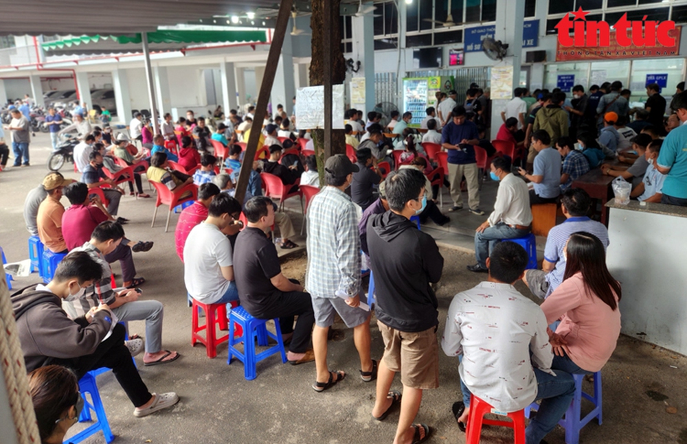 TP Hồ Chí Minh: Người dân xếp hàng đổi bằng lái xe vì tin đồn trên mạng - Ảnh 2.