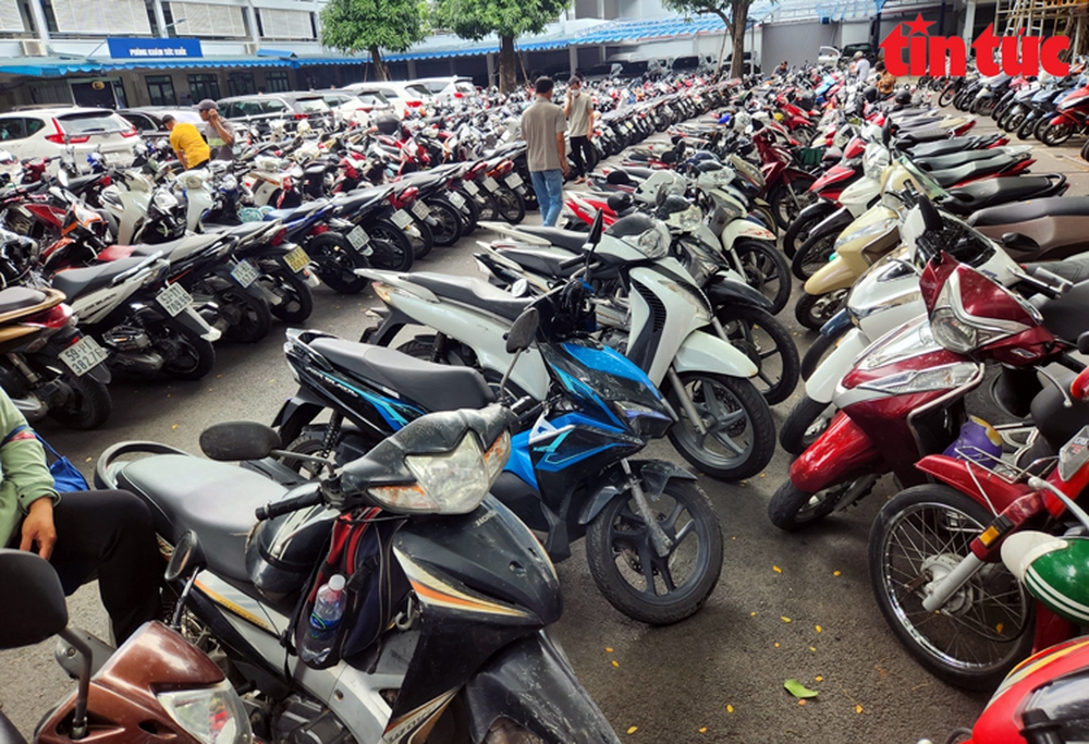 TP Hồ Chí Minh: Người dân xếp hàng đổi bằng lái xe vì tin đồn trên mạng - Ảnh 1.
