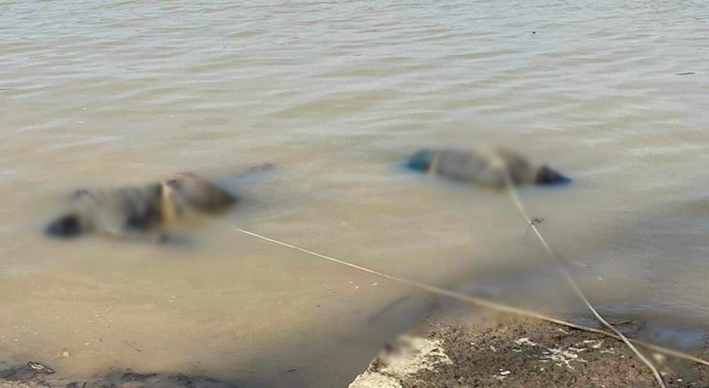 Phát hiện 2 thi thể đàn ông trôi dạt trên sông Lam - Ảnh 1.