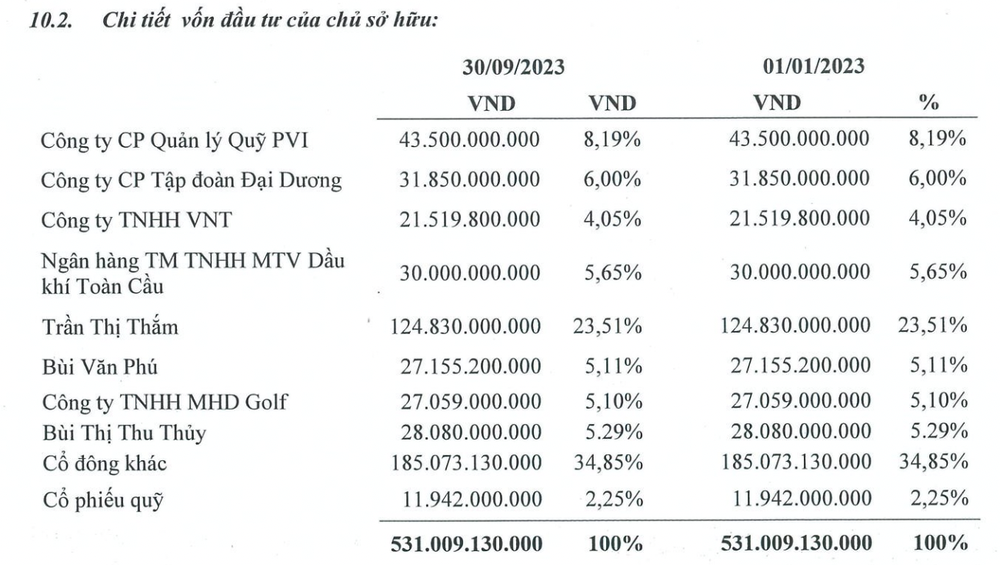 Một công ty bất động sản trên sàn chứng khoán phải ngừng kinh doanh vì hết tiền: Vỏn vẹn 5 nhân sự, hai năm ròng trắng doanh thu, đầu tư cổ phiếu lỗ gần 80%  - Ảnh 1.