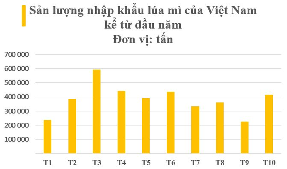 Việt Nam vừa nhập một loại hạt châu báu cả thế giới đang thèm khát từ Nga: Giá rẻ cực hấp dẫn, nước ta nhập trăm nghìn tấn mỗi tháng - Ảnh 2.