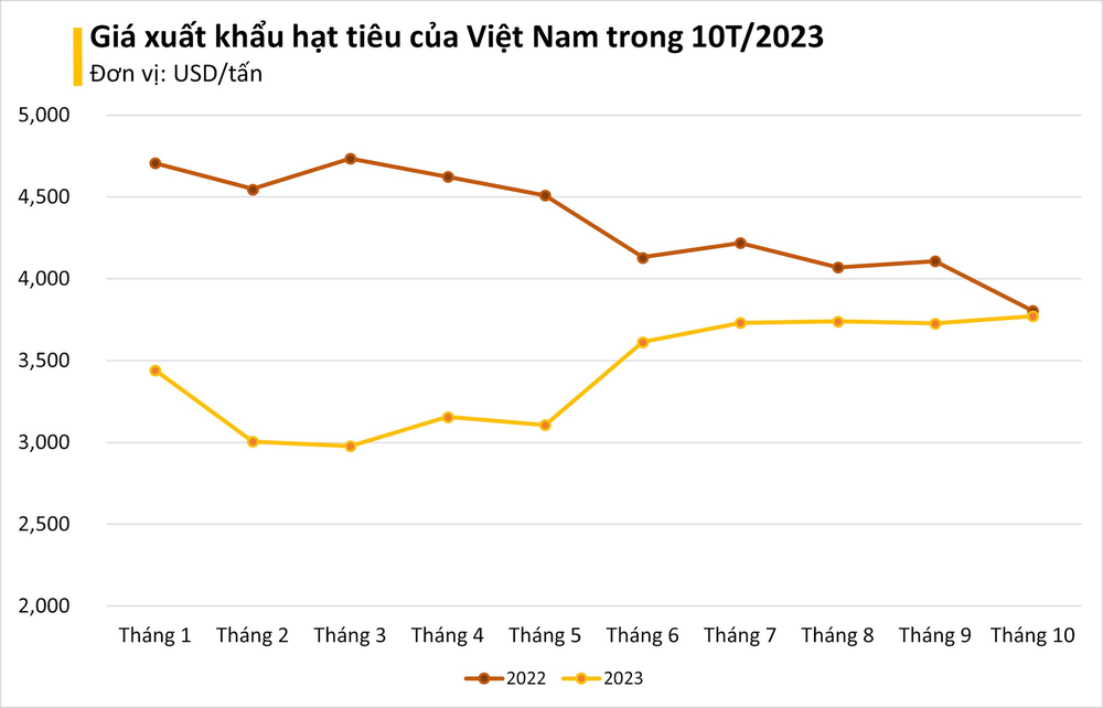 Chất lượng cao, giá giảm, hạt ngọc quý của Việt Nam được Trung Quốc liên tục đổ tiền mua: xuất khẩu tăng hơn 200%, Việt Nam nắm giữ sản lượng đứng đầu thế giới - Ảnh 2.