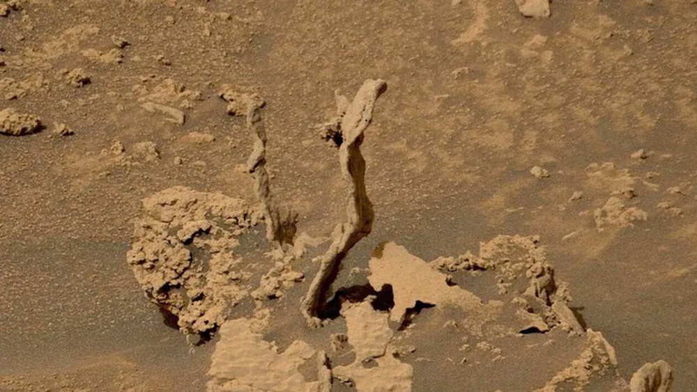 Rắn hổ mang kỳ lạ xuất hiện trên Sao Hỏa - Ảnh 1.