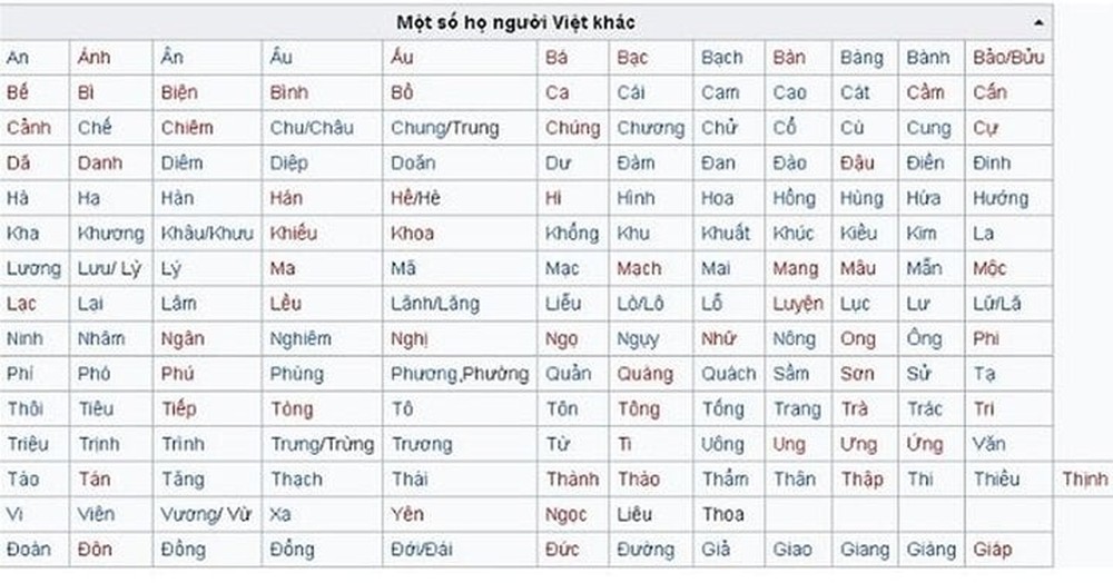 Trăm họ của người Việt Nam là những họ nào? - Ảnh 3.