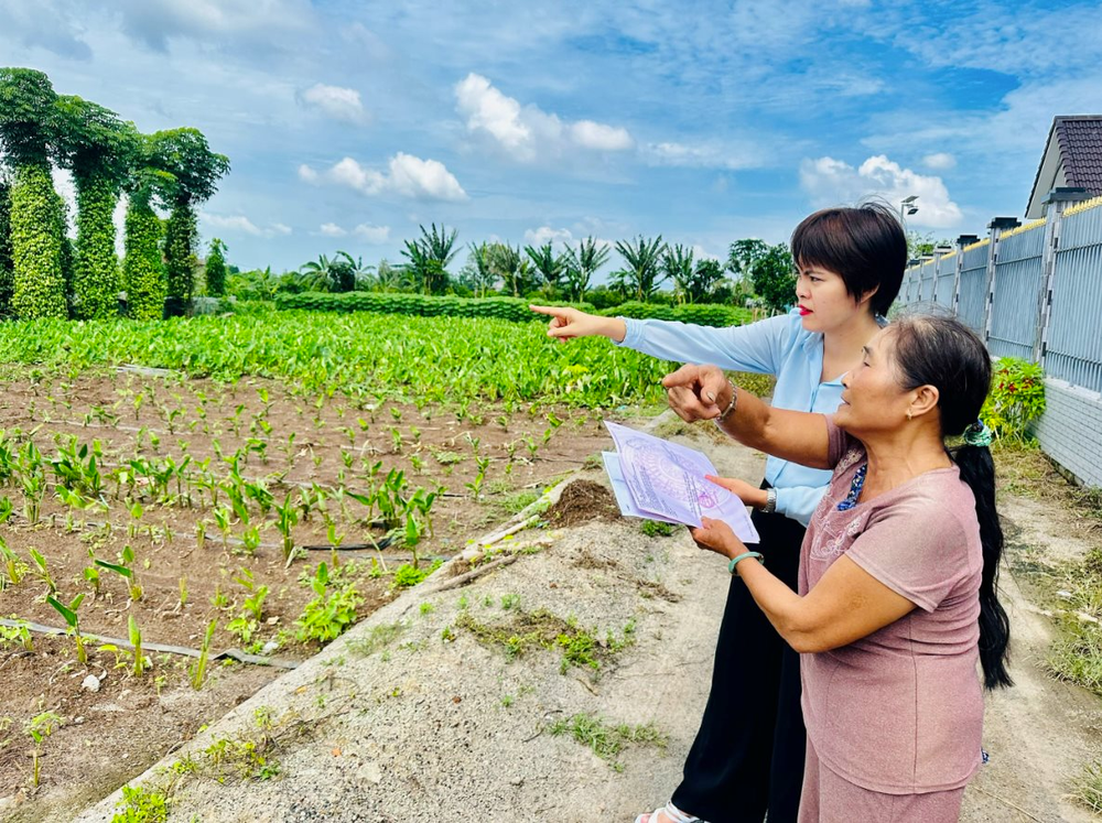 Thông tin mới nhất về tách thửa đất hộ gia đình, cá nhân tại Tp.HCM - Ảnh 1.