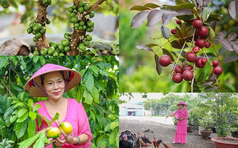 Ca sĩ đại gia 51 tuổi: Không mặn mà showbiz, thích làm nông trong nhà vườn 10.000m2, trồng cây độc lạ - Ảnh 7.