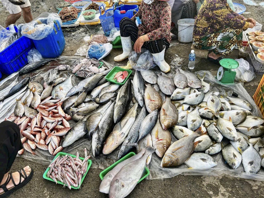 Ninh Thuận có duy nhất khu chợ trăm tuổi và người dân chỉ mẹo chọn hải sản ngon rẻ tại đây - Ảnh 3.