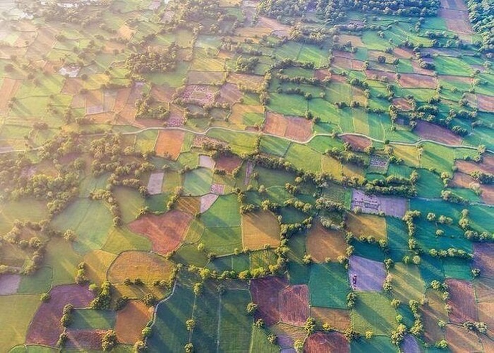 Ghé An Giang mùa lúa chín ngắm nhìn cánh đồng Tà Pạ độc đáo, đủ ô sắc màu - Ảnh 2.