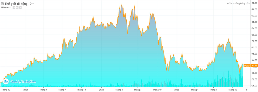  Cổ phiếu Thế Giới Di Động (MWG) có thể bị loại khỏi rổ chỉ số VNDiamond?  - Ảnh 1.