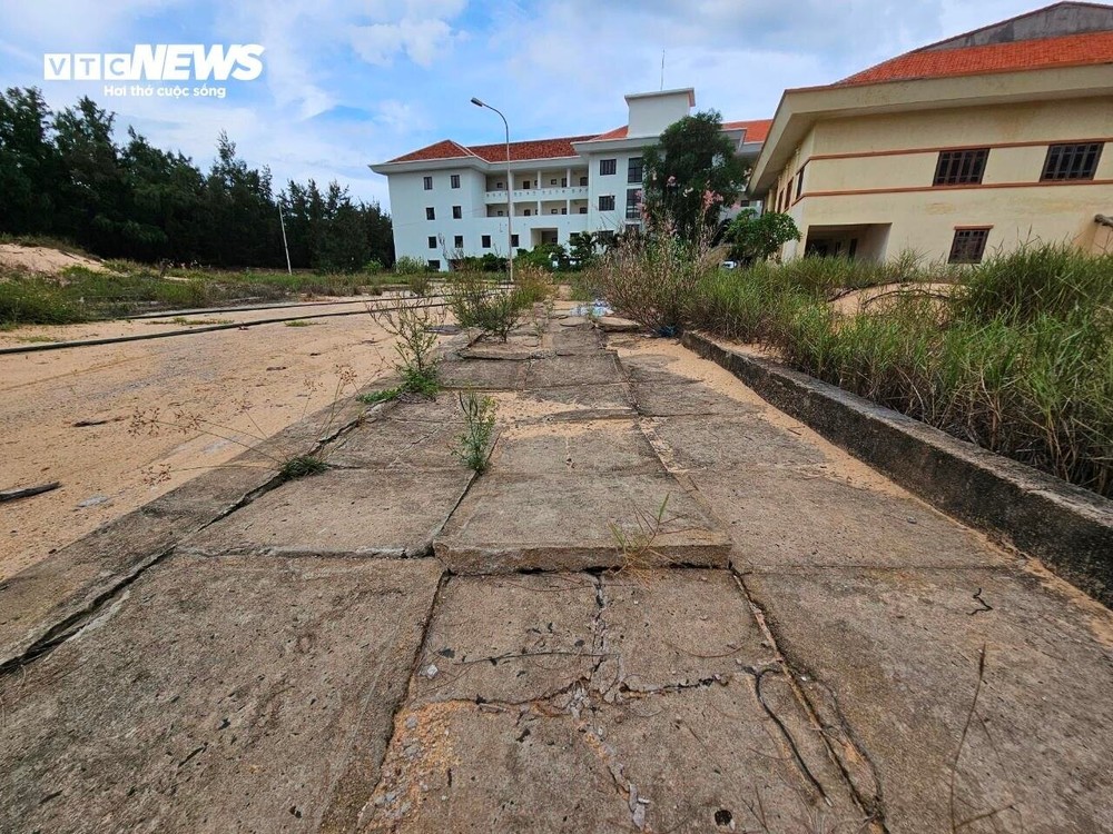 Nhà khách hơn 30 tỷ trên đất vàng ở Phú Yên bị bỏ hoang gần chục năm - Ảnh 7.