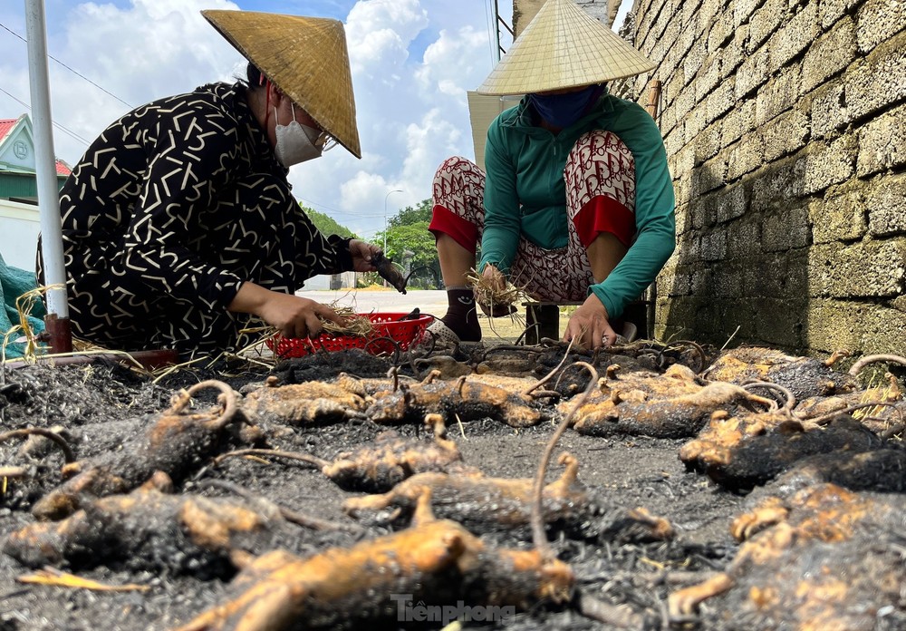 Chợ chuột lớn nhất Nghệ An, mỗi ngày tiêu thụ cả tấn - Ảnh 10.