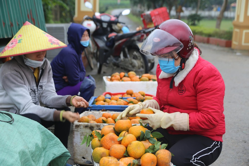 Thủ phủ cam Hà Tĩnh vào vụ thu hoạch, nông dân đếm quả tính tiền - Ảnh 11.