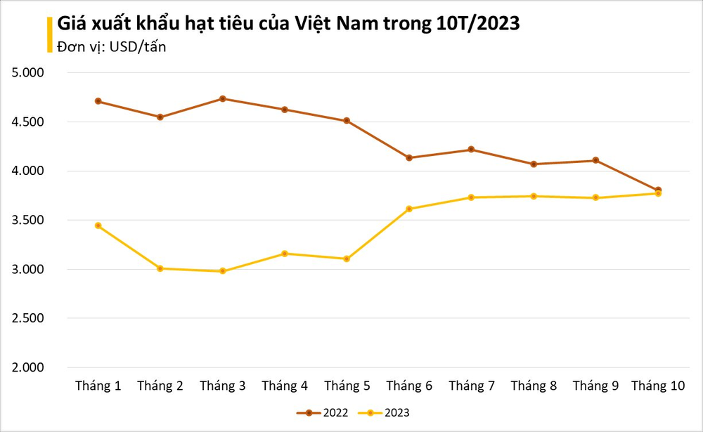 Việt Nam sở hữu vàng đen được Ấn Độ liên tục săn lùng: xuất khẩu tăng đột biến hơn 500%, Việt Nam nắm trùm sản lượng thế giới - Ảnh 2.